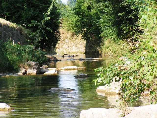 Bauernhof Neuhauserhof